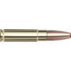 300 Blackout 190 gr Sub‑X® Subsonic