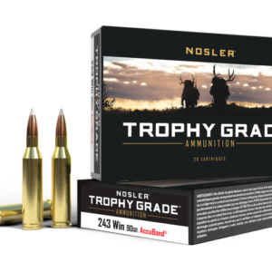 .243 Win 90gr AccuBond