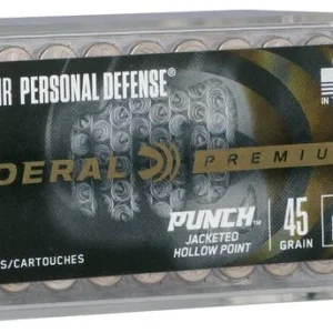 Punch Rimfire 22 WMR 45gr
