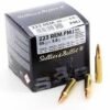 .223 Rem 55gr FMJ (Bulk)