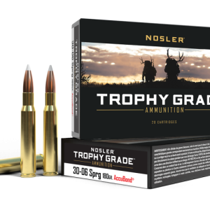 .30-06 Springfield 180gr Partition
