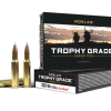 .308 Win 165gr AccuBond