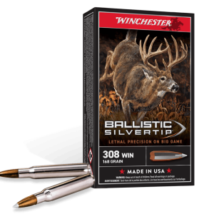 Ballistic Silvertip .243 Win