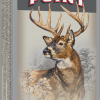 Super-X “The Power Point” .30-30 Win 170 Grain
